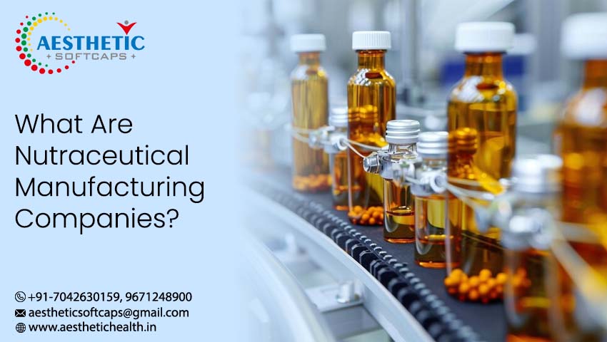 What Are Nutraceutical Manufacturing Companies?